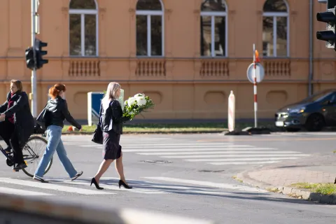 Osijek, 29. 10. 2025., Tržnica Osijek, ponuda cvijeća uoči Svih svetihkrizanteme; tržnica; ponuda; cvijeće; Svi sveti