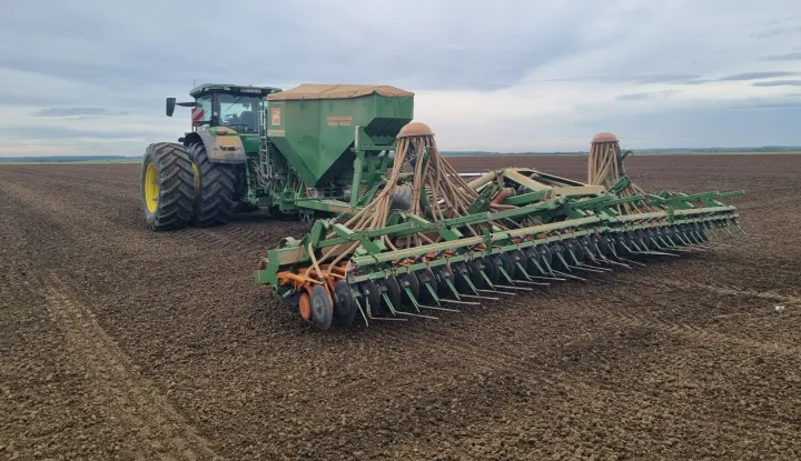 Sjetva na slavonsko-baranjskim poljima, jesen 2024