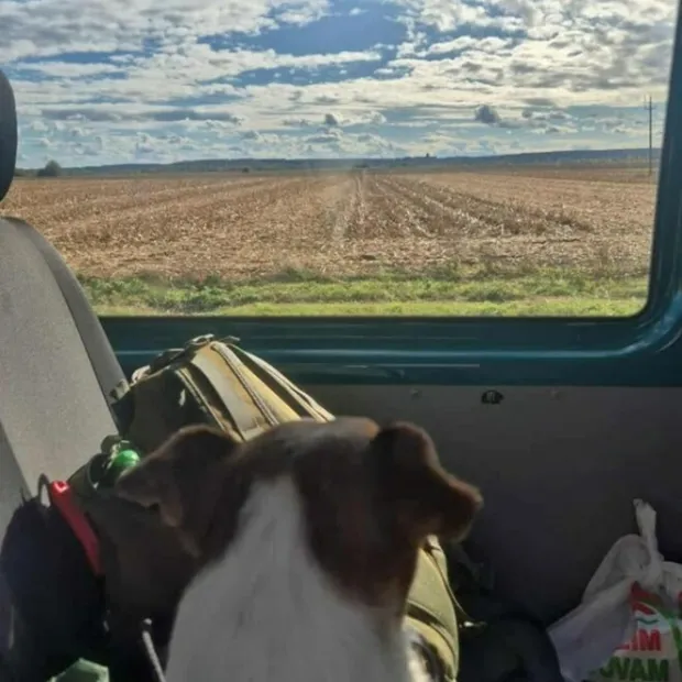 Maks prilikom povratka kući