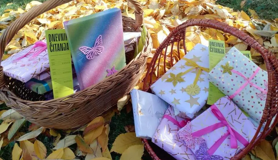 Belišće - Knjižnica, studeni 2025.