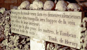 Press visit to present the 2025 edition of the Nuit Blanche, including the setting of the Paris catacombs to music, in Paris, France. on June 6, 2025. Photo by Karim Ait Adjedjou/ABACAPRESS.COM Photo: Ait Adjedjou Karim/ABACA/ABACA