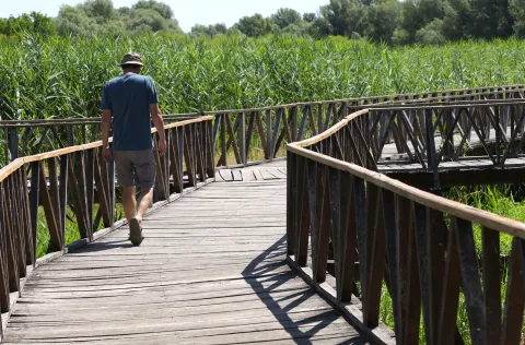  Odjel za biologiju osječkog Sveučili&scaron;ta uz pomoć donacije Zaklade proveo je projekt "Bogatstvo voda Kopačkog rita: priča o mikrosvijetu"