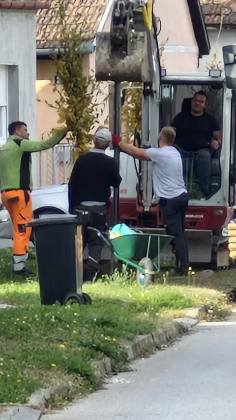 BELI MANASTIRPočelo je veliko ozelenjivanje belomanastirskih gradskih ulica.Planirano je, naime, posaditi 600-tinjak mladih sadnica javora, graba, lipe&hellip;, čime će ulice dobiti novi izgled i postati jo&scaron; ugodnije za &scaron;etnju odnosno život. Riječ je o sadnicama čije je financiranje regulirano jo&scaron; prije potpisanim ugovorima s Fondom za za&scaron;titu okoli&scaron;a i energetsku učinkovitost. Sadnice su nabavljane u dva navrata, u oba slučaja posredovanjem Fonda.studeni 2025.