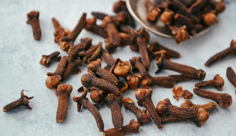 klinčići klinčić