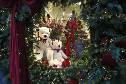 Osijek, 11. 11. 2025, Donji grad, Trg Bana Josipa Jelačića, Cvjetni atelier Fantazija.snimio GOJKO MITIĆ