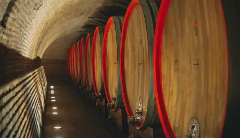 Belje, vina, vinski podrum
