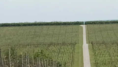 U dvije godine vraćeno je 13,36 mil. eura