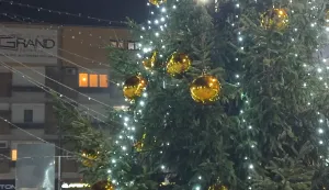 Bor na trgu u Županjiarhiva