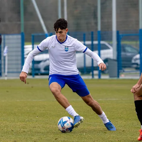 NK Osijek. Opus Arena. Fran Peček