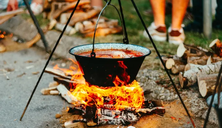 Najveća hrvatska fišijada, baranjski fiš