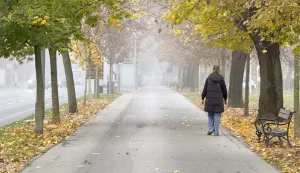 Osijek, 10. 11. 2025., slobodnjaci, slobodnjak, jesen; magla; šetnja; hladno vrijemeSNIMIO BRUNO JOBST