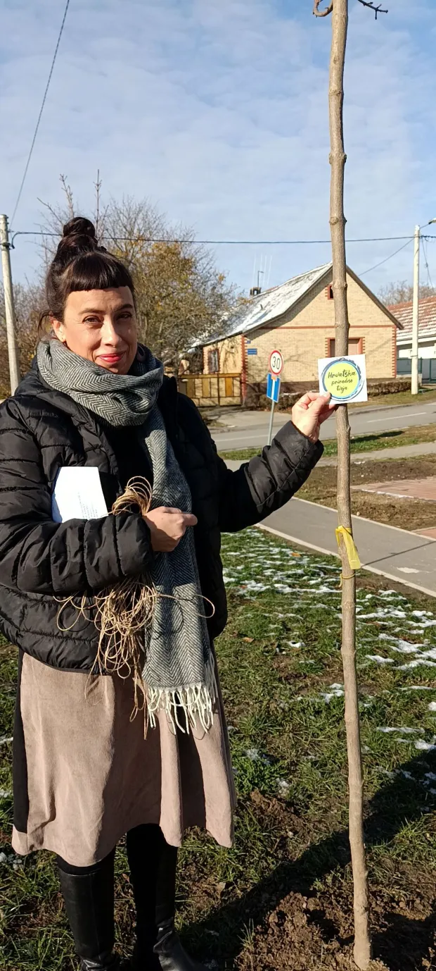 Sadnice kuglastog javora u Lugu - Senata Majić