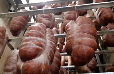 Svinjokolje u Baranji gotovo svakodnevica, veterinari su na terenu po cijele dane