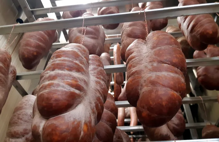 Svinjokolje u Baranji gotovo svakodnevica, veterinari su na terenu po cijele dane