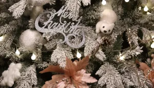 Osijek, 02. 12. 2020, Bozicno drvce, ukrasi Bozicni, detalj, Mary Christmas, ilustracja, za Agroglas.snimio GOJKO MITIĆ