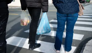 RIJEKA 11.01.2024. Ilustracija potrosacka kosarica, plastice vrecice, inflacija. Snimila: Ana Krizanec