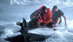 nada umire posljednja