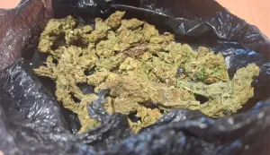 Policijski službenici Policijske uprave požeško-slavonske su dovršili kriminalističko istraživanje nad 24-godišnjim hrvatskim državljaninom s područja Pleternice zbog sumnje u počinjenje kaznenih djela iz domene kriminaliteta droga.