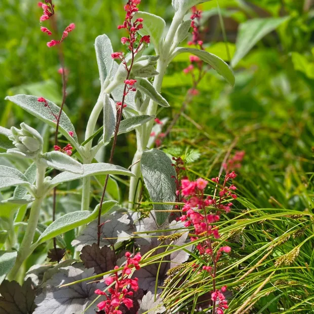 Sandra Đeri Getoš (51), nutricionistica i pekarica: Poslovna (r)evolucija inženjerke koja je ispekla zanat i sad peče čaroban kruh