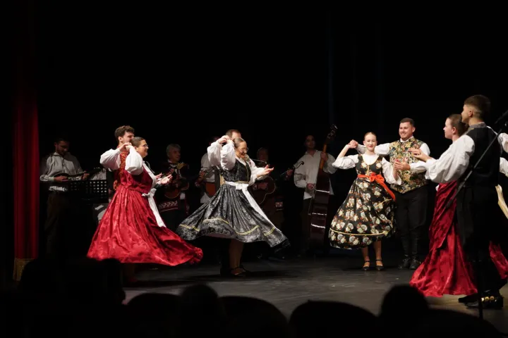 VINKOVCIU dvorani GK-a Joza Ivakić pred velikim brojem zaljubljenika u folklor i tradiciju održan je 24. Festivala folklora "Robert Bajtal", manifestacija u organizaciji vinkovačkog Folklornog ansambla "Lisinski", koji se već gotovo četvrt stoljeća bogatim programom prisjeća svog nekada&scaron;njeg člana i voditelja FA "Lisinski", tragično preminulog na radnom mjestu, u eksploziji bombe u vinkovačkoj Po&scaron;ti gdje je bio zaposlenik.STUDENI 2025.