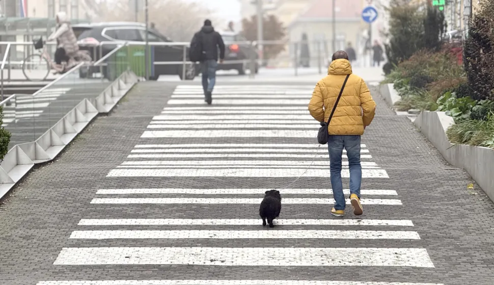 Osijek, 10. 11. 2025., slobodnjaci, slobodnjak, šetnja psa; šetnja; magla; jesen; hladnije vrijeme; vrijeme; vremenska prognozaSNIMIO BRUNO JOBST