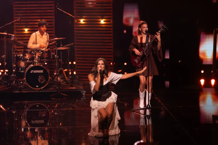 supertalent, 12. sezona, drugi polufinale