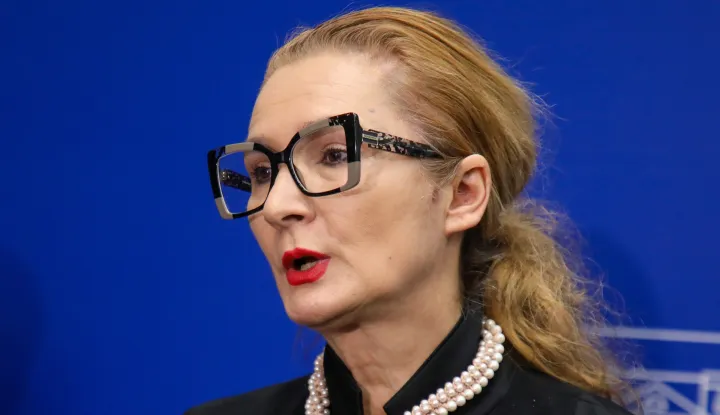 Zagreb, 19.11.2024. - Hrvatski sabor, okrugli stol u organizaciji potpredsjednice Sabora Sabine Glasovac na temu "Sankcioniranje nasilja nad ženama - zakonska rje&scaron;enja i praksa". Na fotografiji Vi&scaron;nja Ljubičić, dipl.iur., pravobraniteljica za ravnopravnost spolova.foto HINA/ Admir BULJUBA&Scaron;IĆ/ abu