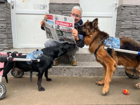 Ivana Crnoja, Udruge Pobjede