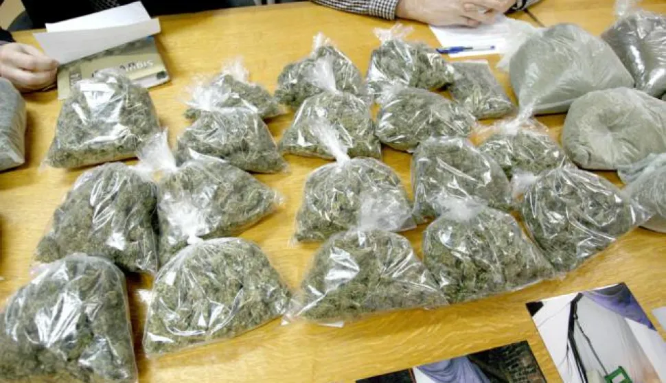 snimio Davor KIBEL,Osijek, 08.12.2014. Policijska postaja, zaplijenjena droge u PU osječko-baranjskoj, droga, trava, kanabis, marihuana, hai