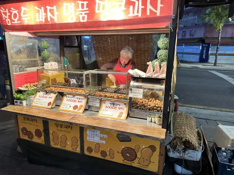 Jasna Horvat - Južna KorejaUmjesto razglednicve 2025.