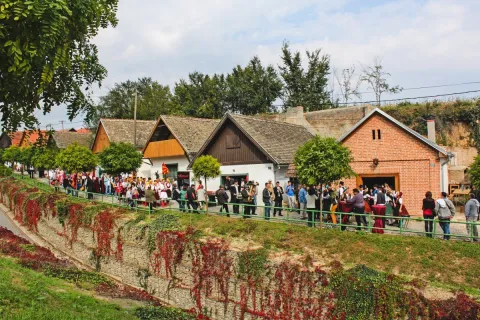 Suncokret ruralnog turizma Hrvatske 2025.: U Baranji su zavr&scaron;ile tri brončane povelje