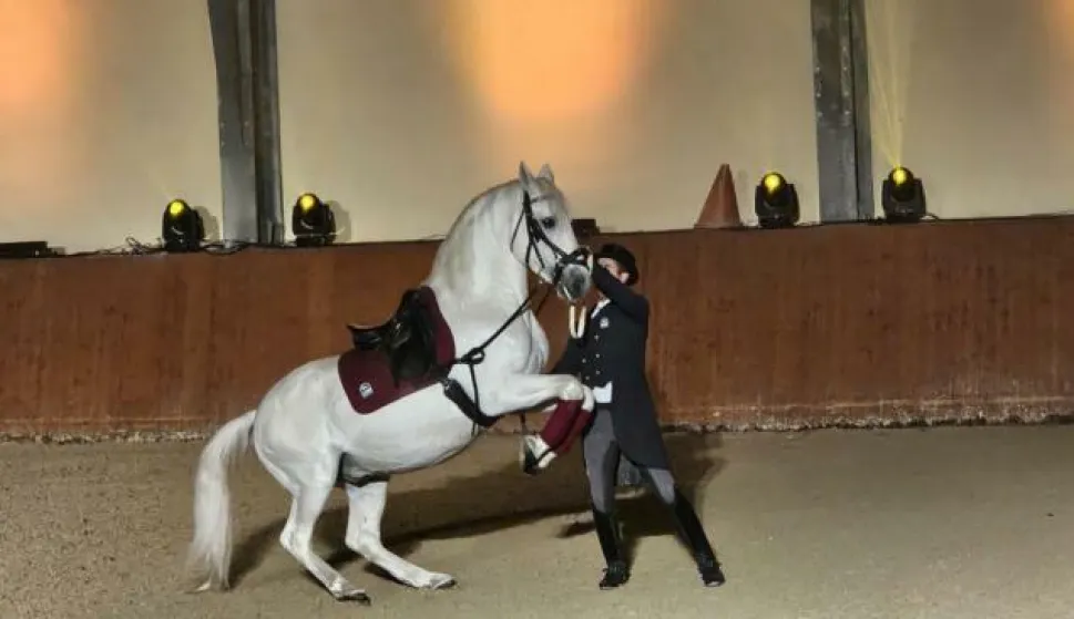 U Ergeli Božićni bal lipicanaca