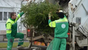 ĐakovoSiječanj 2025.Univerzalov odvoz raskićenih božićnih drvaca