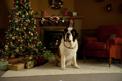 "Bethovenova božićna avantura"