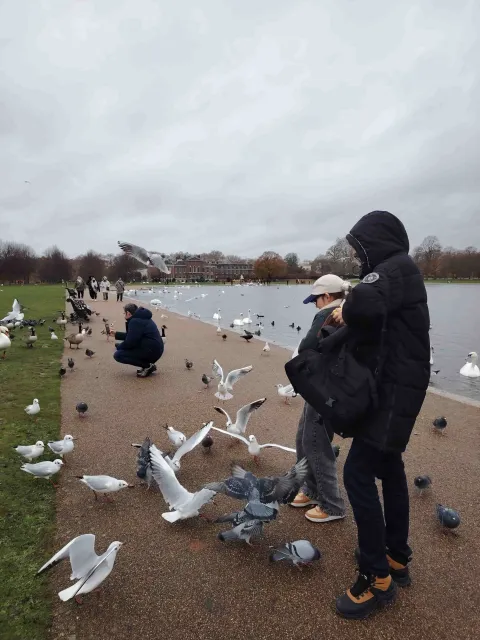 /Galerija/ Nefreteta Zekić Eberhard: Čak i ako ste već bili u Londonu, reprizirajte, čaroban je u prosincu!