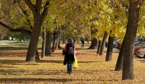 Osijek, 22. 10. 2025., jesen, &scaron;etnja, li&scaron;će, rekreacija, toplo vrijeme, ilustracija, slobodnjak, slobodnjaci SNIMIO BRUNO JOBST