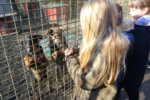 Osijek, 19. 2025, Nemetin Azil donacija učenika Osnovne &Scaron;kole Sveta Ana. Izlvan nastavna skupina Kućni ljubimci, učenici drugih razreda bila je u posijetu Azilu. U &scaron;koli su proveli humanitarnu akciju i skupili od hrane, graickalica, poslastica i ostalih potrep&scaron;tina potrebnim za četvernožne članove Azila. Osim učenika i učiteljice Gordane Moka u pratnji djece su bili i stručni suradnici i roditelji. Nakon obilaska Azila nekolicinu pasa su i pro&scaron;etali.snimio GOJKO MITIĆ