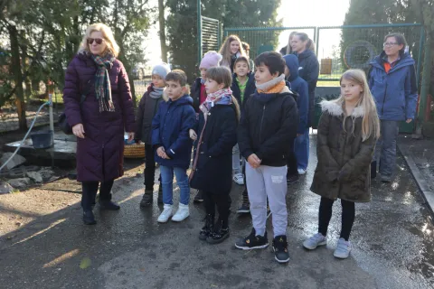 Osijek, 19. 2025, Nemetin Azil donacija učenika Osnovne &Scaron;kole Sveta Ana. Izlvan nastavna skupina Kućni ljubimci, učenici drugih razreda bila je u posijetu Azilu. U &scaron;koli su proveli humanitarnu akciju i skupili od hrane, graickalica, poslastica i ostalih potrep&scaron;tina potrebnim za četvernožne članove Azila. Osim učenika i učiteljice Gordane Moka u pratnji djece su bili i stručni suradnici i roditelji. Nakon obilaska Azila nekolicinu pasa su i pro&scaron;etali.snimio GOJKO MITIĆ