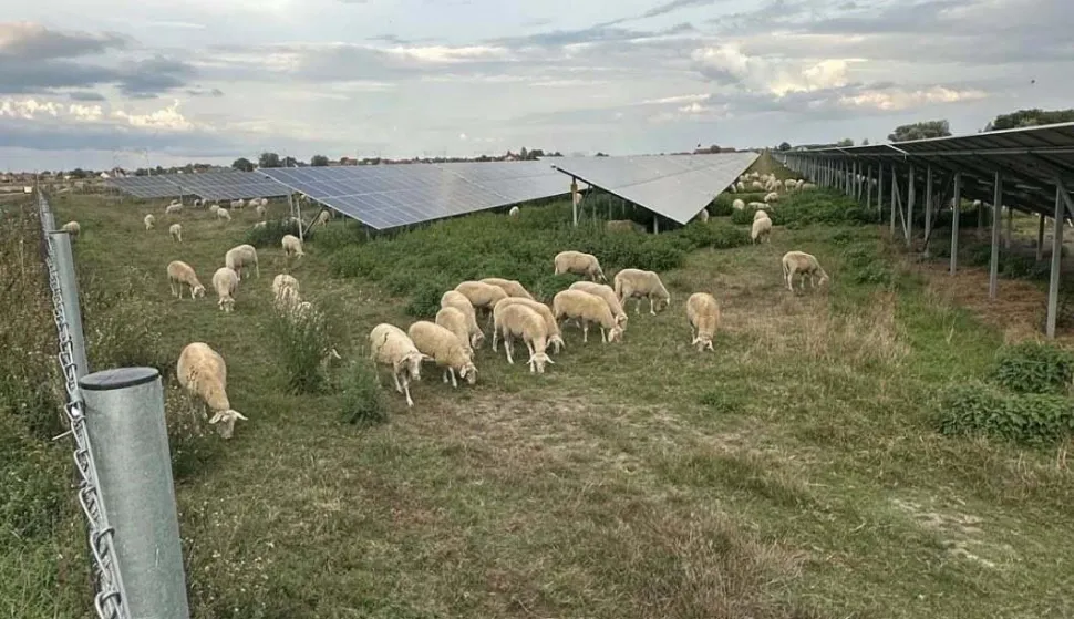 VOĐINCINačelnik Općine Vođinci Martin Kordić donio je odluku o isplati jednokratne novčane pomoći za tro&scaron;kove života tijekom zimskog razdoblja, a koja se temelji na prihodu od solarne elektrane.prosinac 2025.