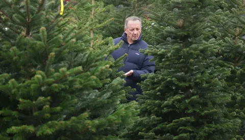Osijek, 13. 12. 2025., Ulica Josipa Reihla Kira, prodaja borova, borovi, jelke, jelka, bor, božićno drvo, božićno drvce, Božić, kupovina; prodaja, ilustracijaSNIMIO BRUNO JOBST