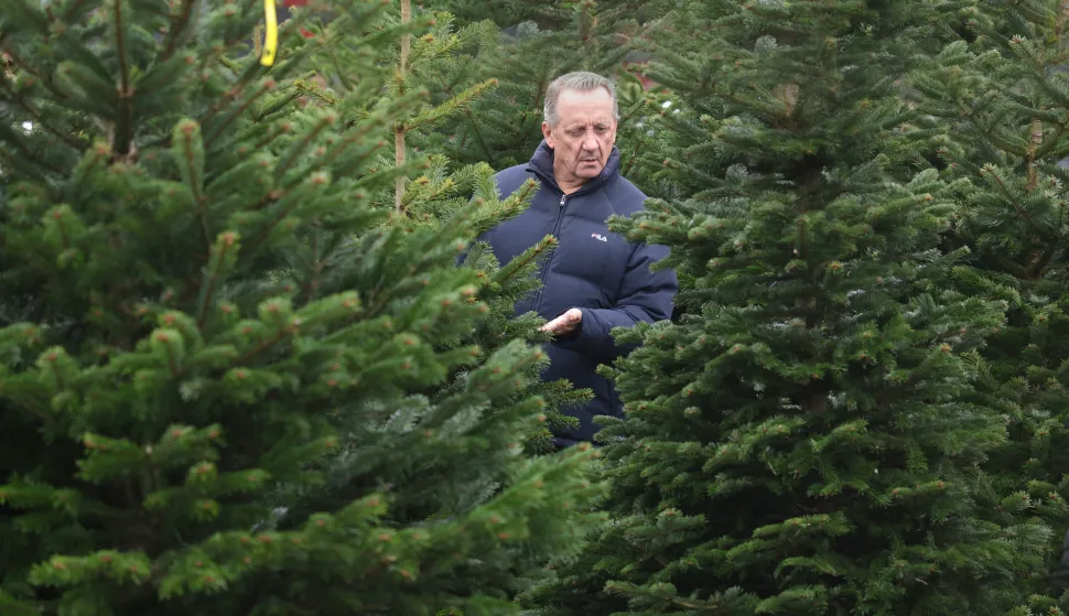 Osijek, 13. 12. 2025., Ulica Josipa Reihla Kira, prodaja borova, borovi, jelke, jelka, bor, božićno drvo, božićno drvce, Božić, kupovina; prodaja, ilustracijaSNIMIO BRUNO JOBST
