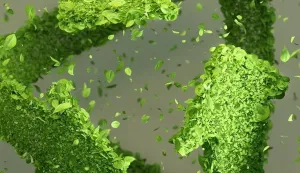 Program celoživotnog učenja Biopoduzetni&scaron;tvo dostupan preko vaučera