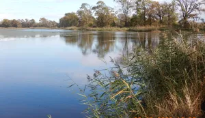 Ministarstvo poljoprivrede, akvakultura, &scaron;aranski ribnjak, PROMO