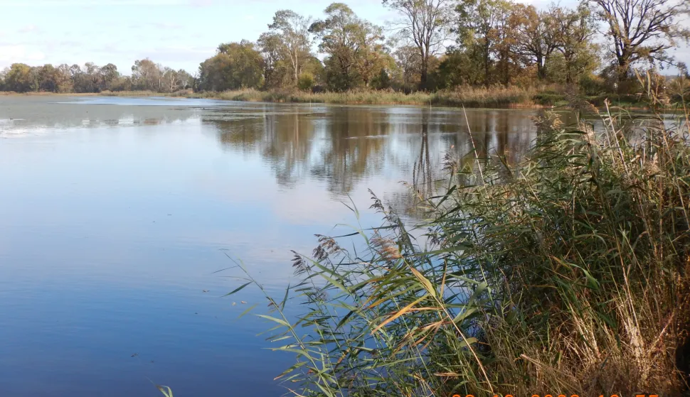 Ministarstvo poljoprivrede, akvakultura, &scaron;aranski ribnjak, PROMO