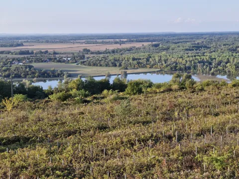 Okoli&scaron; vidikovca Trojna&scaron; u blizini Draža