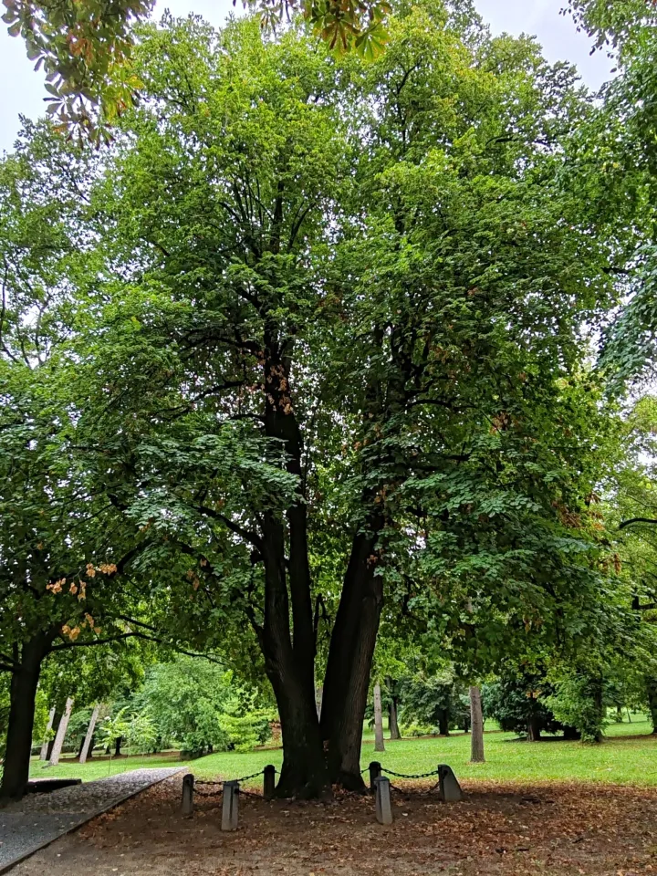 Pogled unatrag: Obljetnice koje jesmo i koje nismo obilježili u 2025.