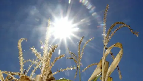 ?20.08.2012., Cakovec - Susa u Medjimurju, ilustracija. Photo: Vjeran Zganec-Rogulja/PIXSEL------MAGATZIN, 14.STR.,KOLOR4 STUPCA!!!
