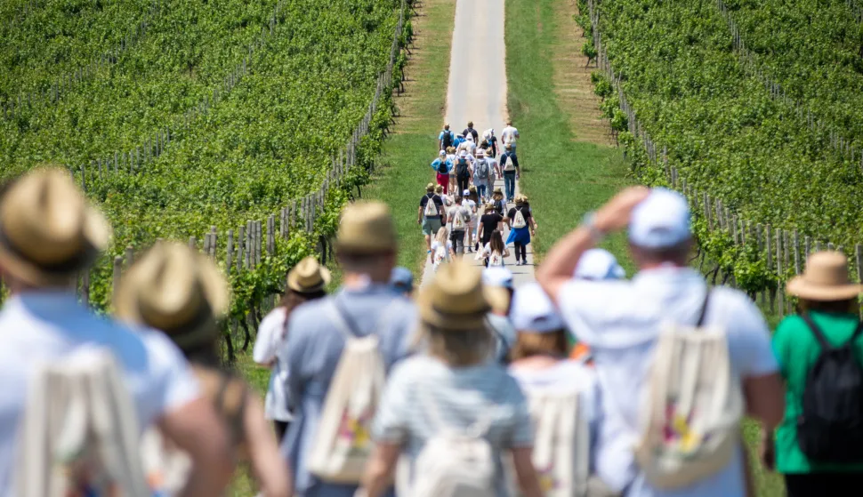 baranja wine walk 2023