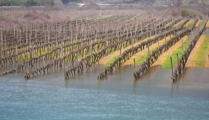 Vrgorac, 17.03.2025 - Nakon obilnih ki&scaron;a poplavili su vinogradi i voćnjaci u vrgoračkom polju. Rijeka Matica se izlila iz toka u polju Jezero, a kako je izvijestio HAK na svojim službenim stranicama zbog vode na kolniku zatvorena je cesta Draževitići-Veliki prolog. foto HINA/ Jure DIVIĆ/ ik