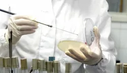 Zagreb, 24.02.2017 - Zbog prisutnosti bakterije salmonele Ministarstvo poljoprivrede RH naloilo je povlačenje proizvoda "Zamrznuta pileća prsa  polovice bez kosti i koe, teine dva kilograma", tajlandskog proizvođača, priopćila je u petak navečer Hrvatska agencija za hranu. Na slici radnica u laboratoriju mesne industrije provjerava bakterioloku ispravnost uzoraka hrane.foto HINA/ Damir SENČAR /ds